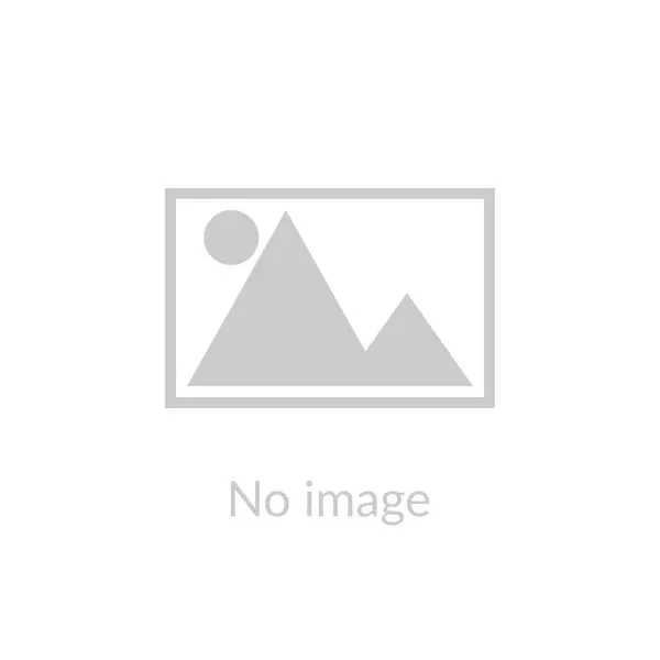 Character Dream Catchers